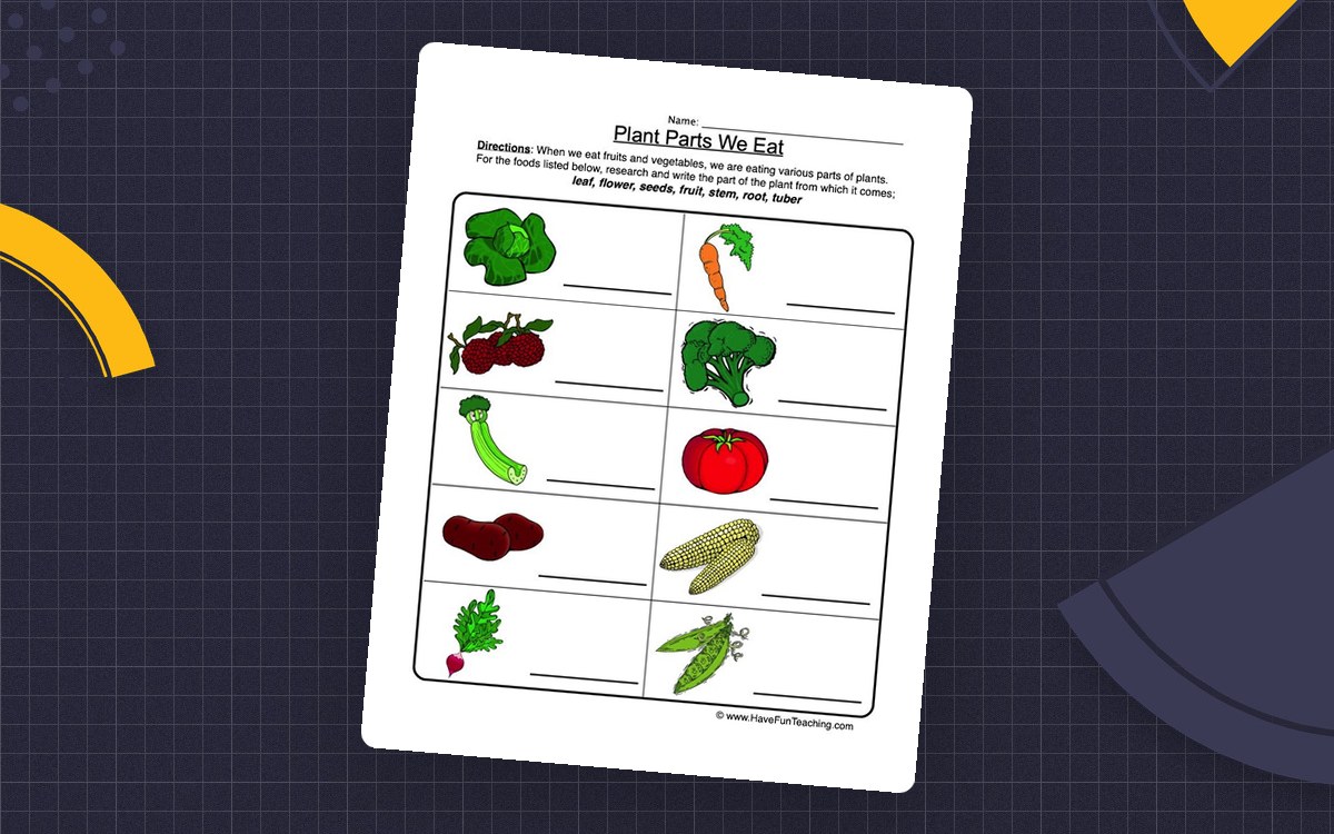 Plant Parts We Eat Worksheet preview: Food research list