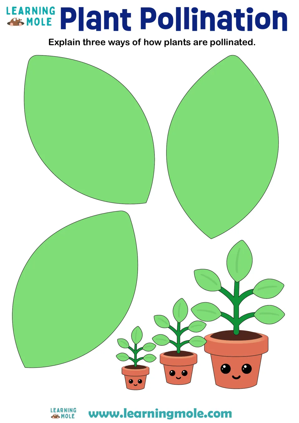 Plant pollination activity asking students to explain three ways plants are pollinated in writing.