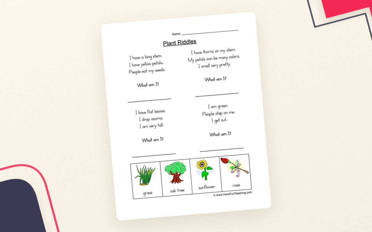 Plant Riddles Worksheet worksheet page with the activity title and student response area.