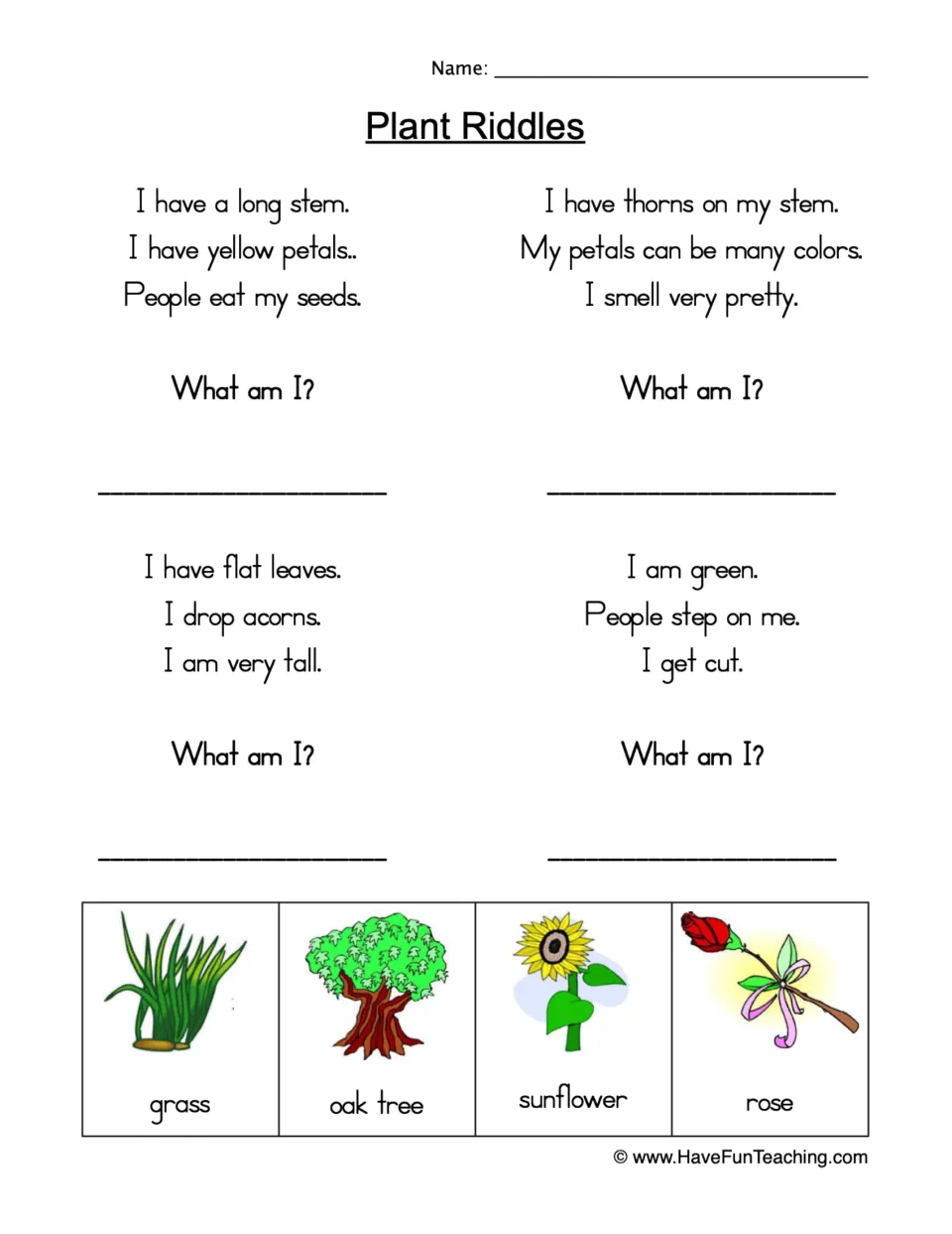 Plant riddles: students read four 'What am I?' clues and name the grass, oak tree, sunflower or rose from a picture bank