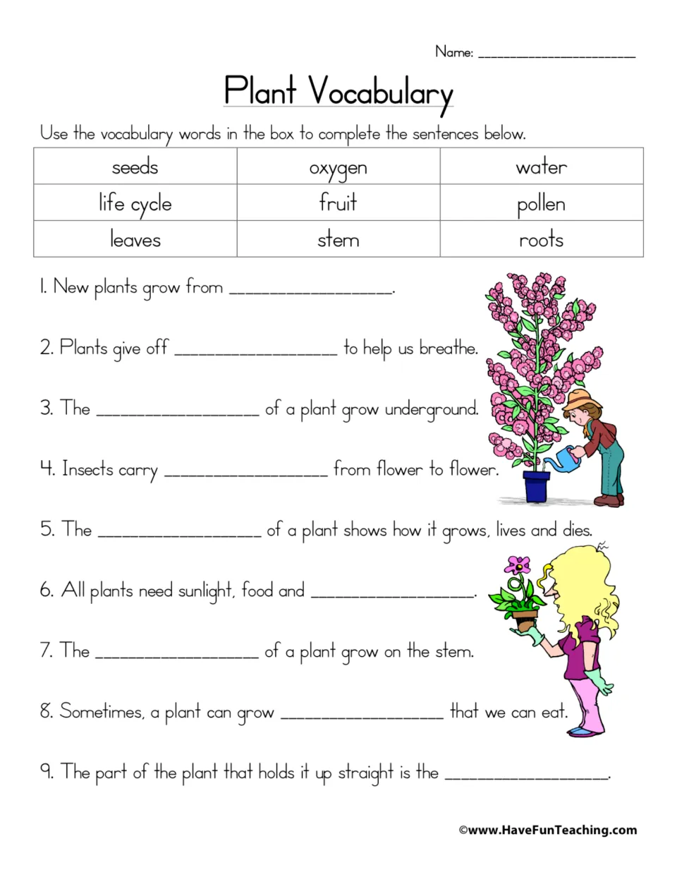Plant vocabulary: students fill 9 sentence blanks using a word bank of seeds, roots, pollen, stem, oxygen and more