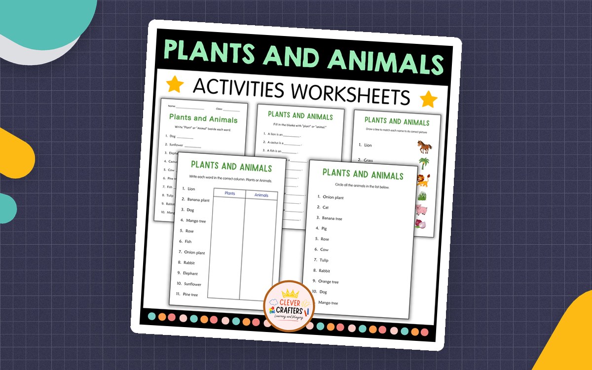 Plants vs Animals Worksheets – Grade 2 Science Set preview