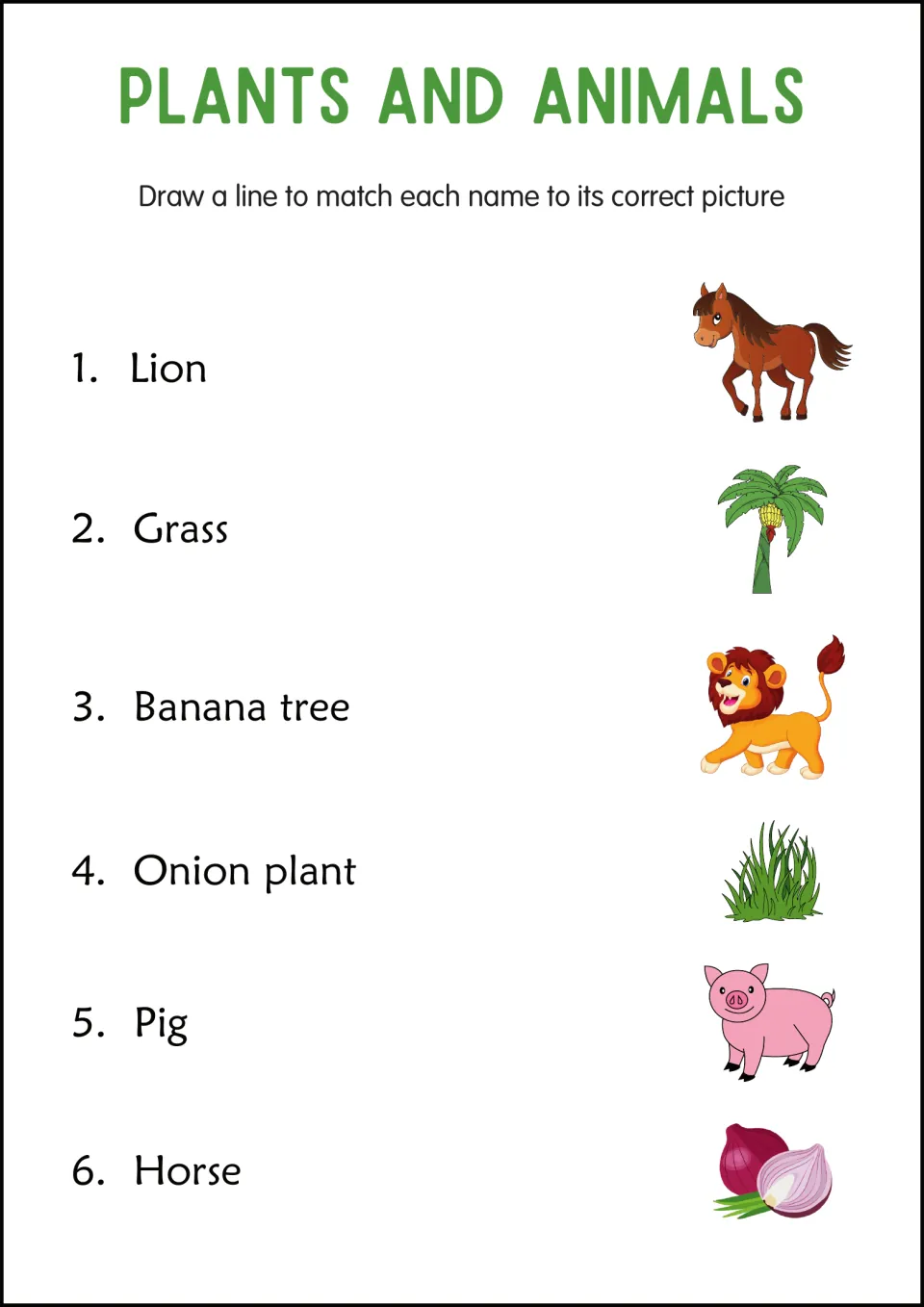 Plants and animals matching: students draw lines from six names like lion, grass and onion plant to their pictures