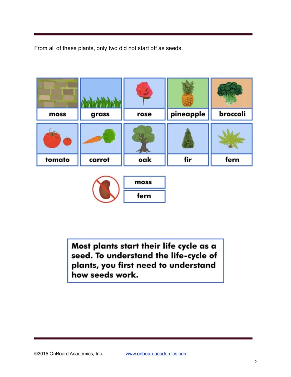 Plant life cycle lesson identifies moss and fern as the two plants among 10 examples that do not start as seeds