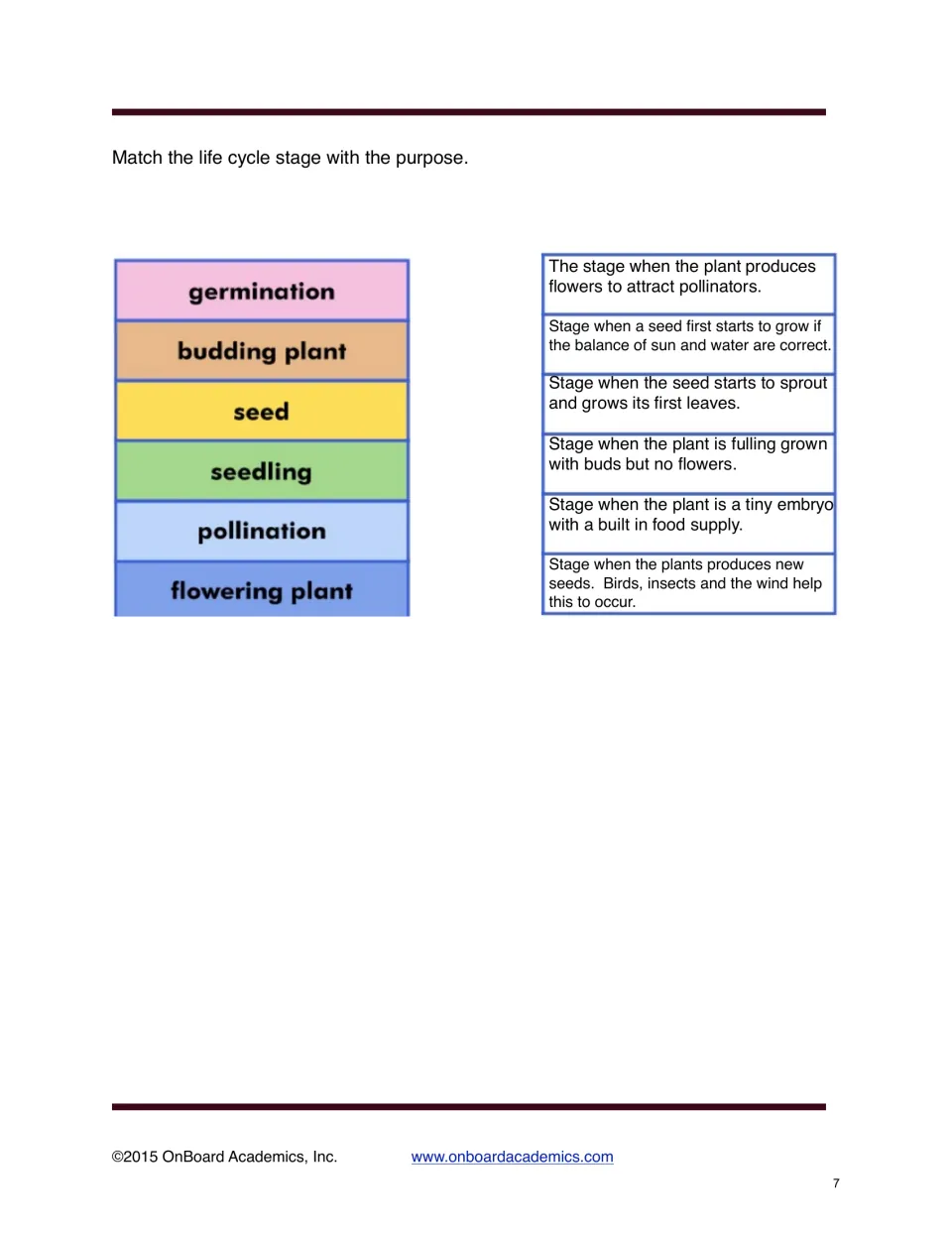 Life cycle matching exercise pairs six stages, including germination, seedling, and pollination, with purposes