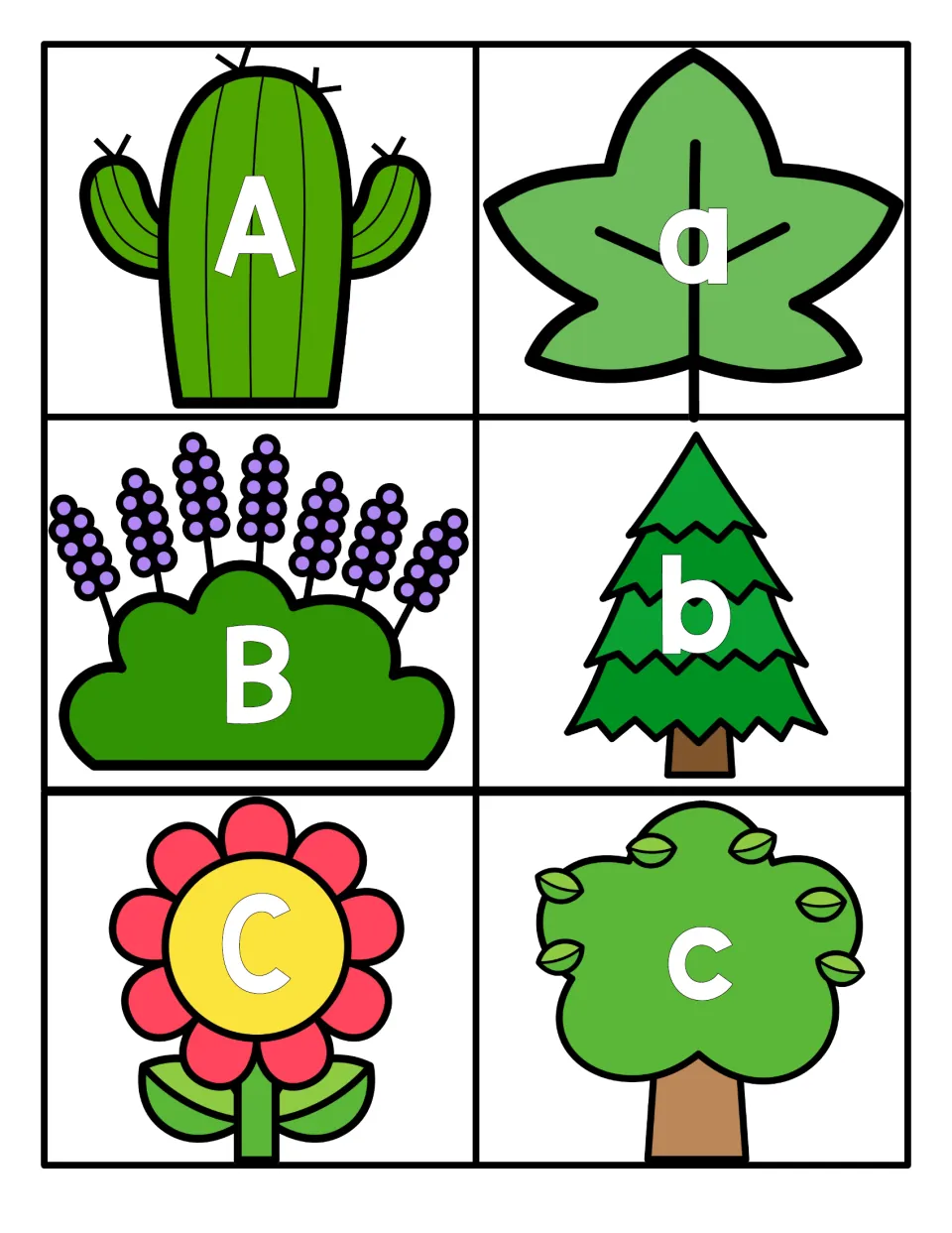 Letters A to C: A on a cactus, a on a leaf, B on lavender, b on a pine tree, C on a flower and c on a leafy tree to pair