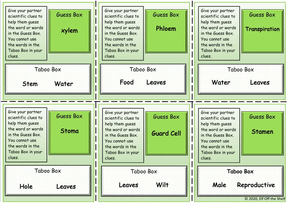 Plant anatomy taboo cards: students give clues for xylem, phloem, transpiration, stoma, guard cell and stamen