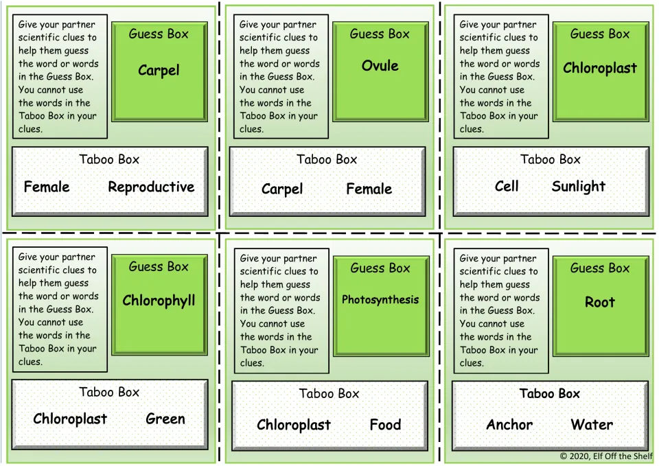 Plant vocabulary taboo cards: students give clues for carpel, ovule, chloroplast, chlorophyll, photosynthesis and root