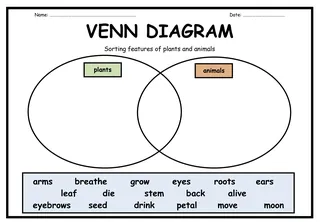 Plants & Animals Sorting with Venn Diagrams – cover