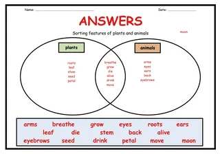 Plants & Animals Sorting with Venn Diagrams – sample page 2