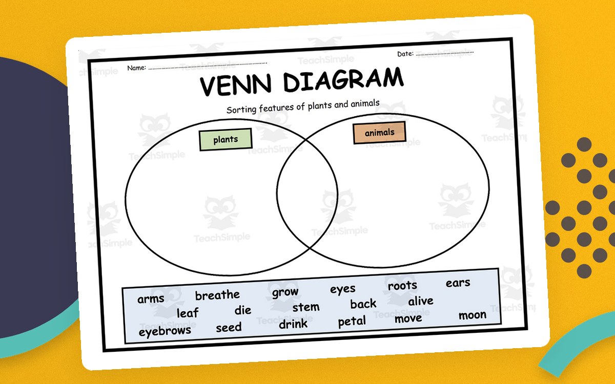 Plants & Animals Sorting with Venn Diagrams preview