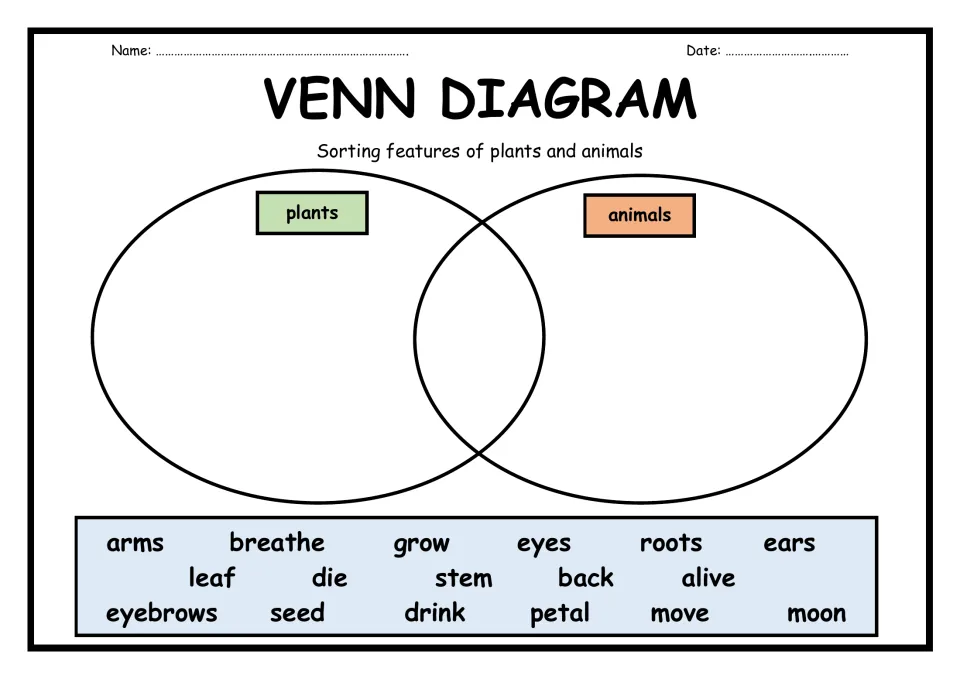 Plant and animal features: students sort words like roots, eyes, breathe and moon into a plants and animals Venn diagram