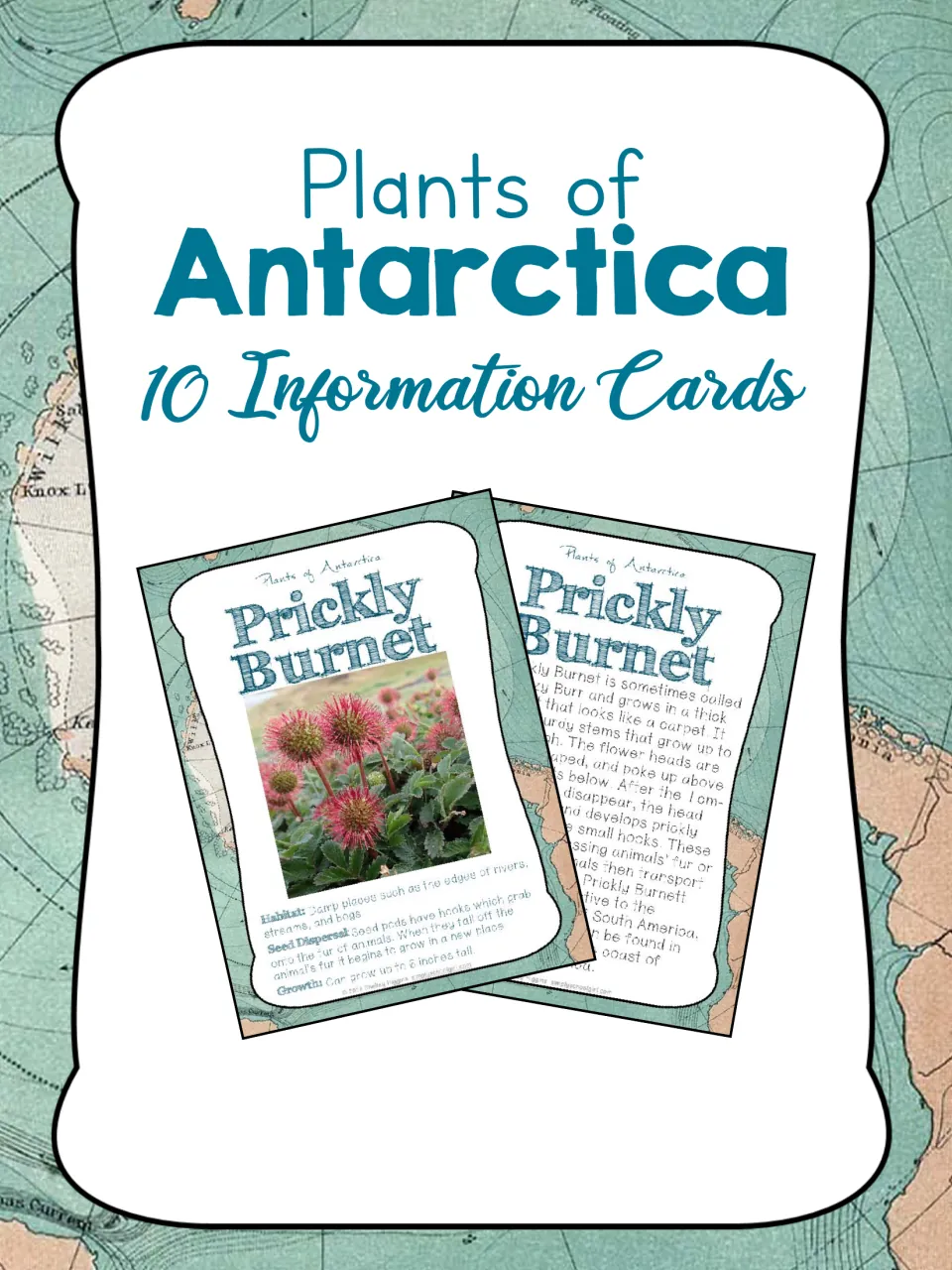 Plants of Antarctica cover introducing 10 information cards, with sample Prickly Burnet front and back
