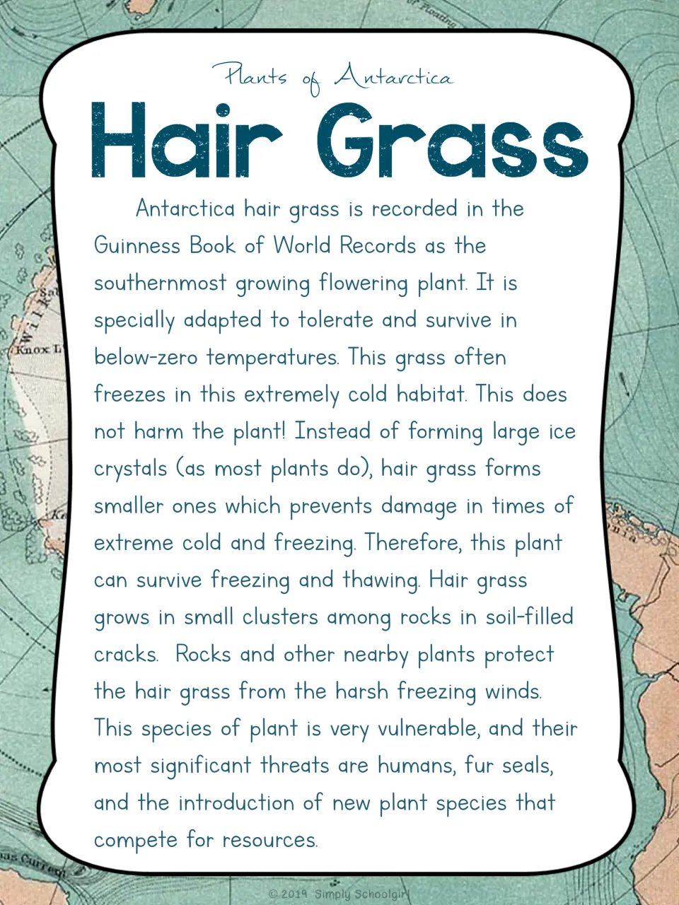 Hair Grass card back explains freezing tolerance, growth among rocks, and threats from competing plants