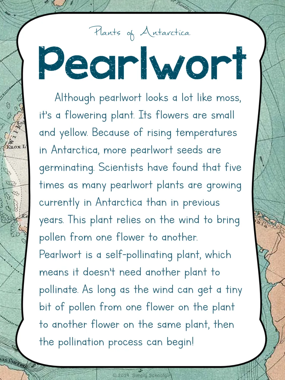 Pearlwort card back describes small yellow flowers, increased germination, and wind-assisted self-pollination