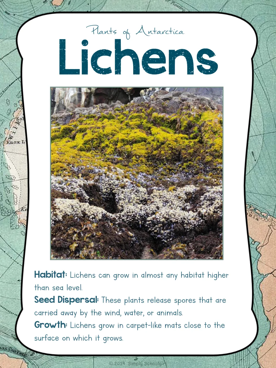 Lichens card front shows a photo and facts about habitat, spore dispersal, and growth in carpet-like mats