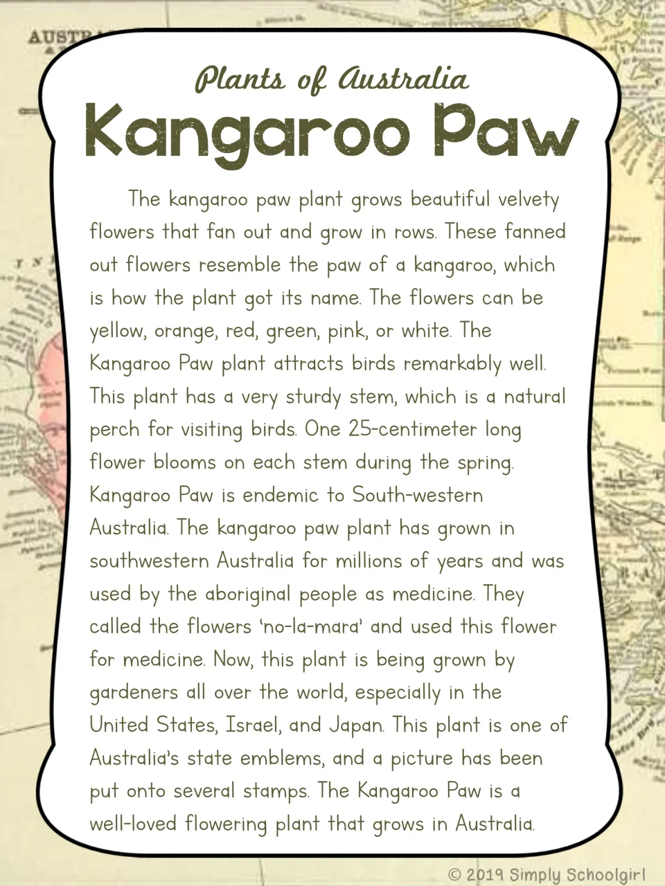 Kangaroo paw card back describing velvety flowers, bird visitors, Aboriginal uses, and its role as a state emblem