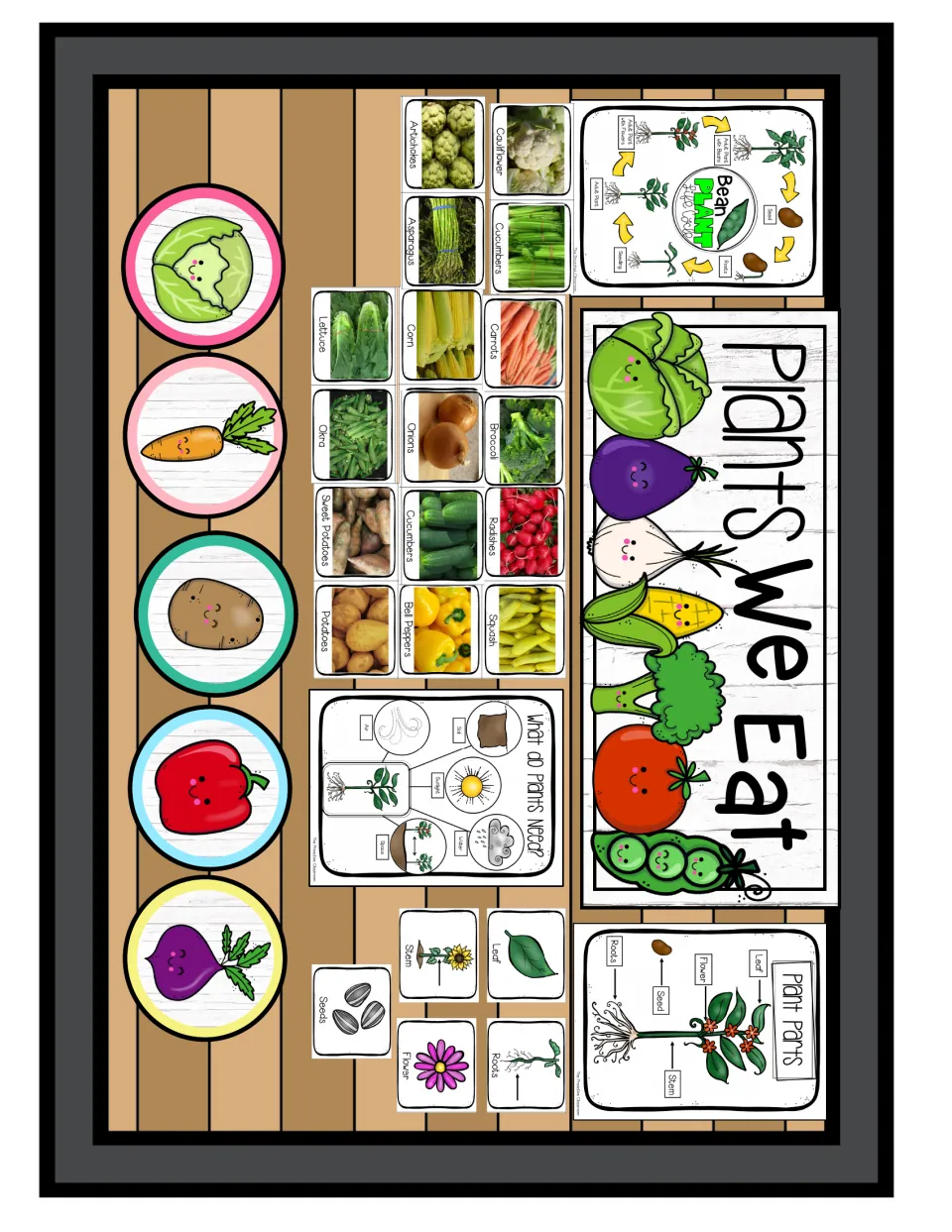 Plants We Eat bulletin board sample with plant parts, plant needs and bean life cycle charts plus labeled vegetable photos