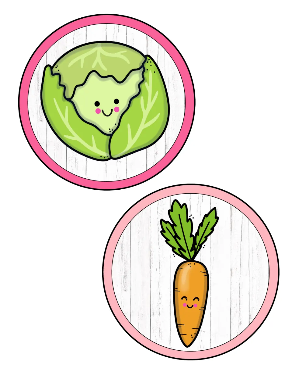 Vegetable accent circles: a smiling cabbage in a pink ring and a smiling carrot in a light pink ring for the plant display