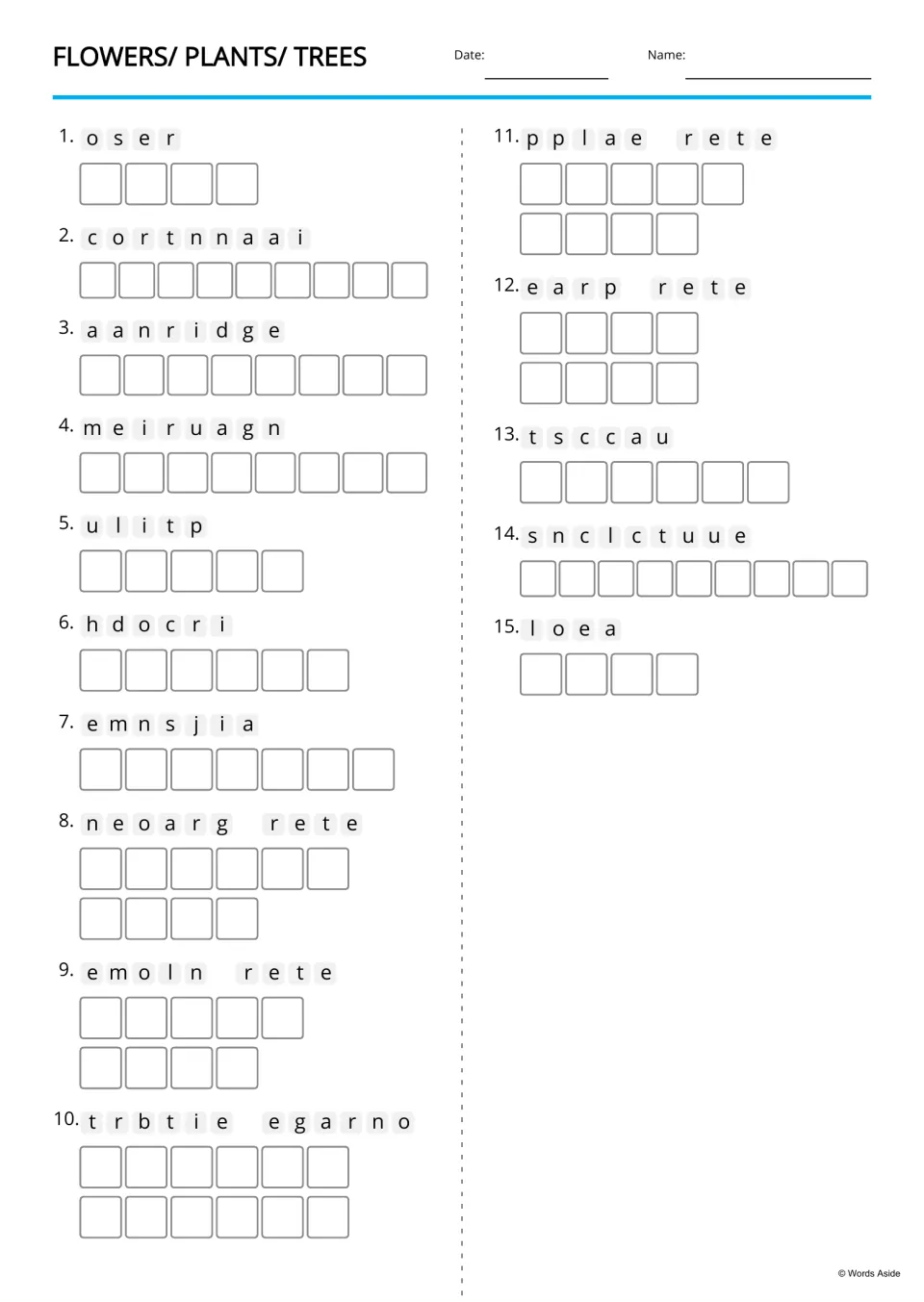Plant word anagrams: students unscramble 15 jumbled names like o s e r and t s c c a u, writing one letter per box
