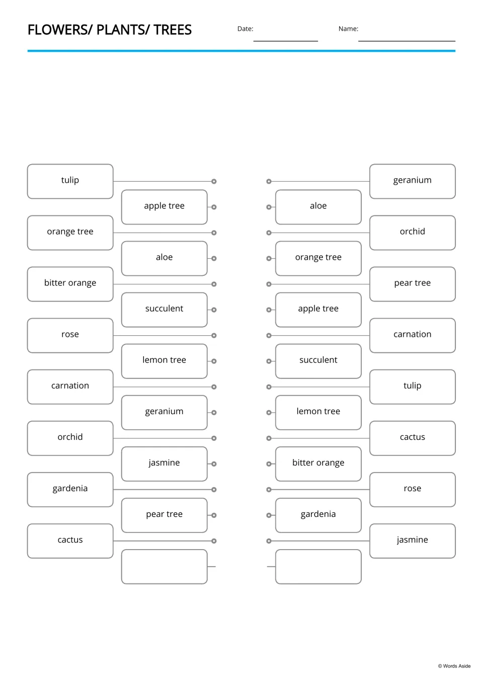 Plant word matching: students draw lines to connect matching plant names, such as tulip, aloe and orchid, across two lists