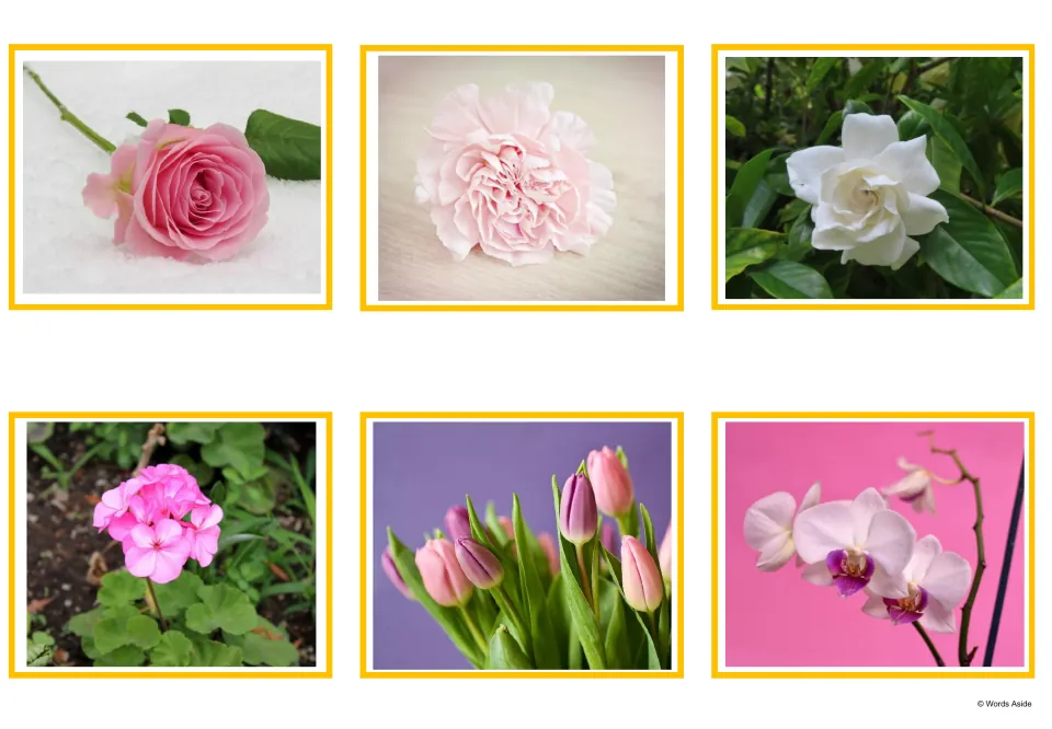 Flower photo cards: pictures of a pink rose, a carnation, a white gardenia, a geranium, tulips and an orchid