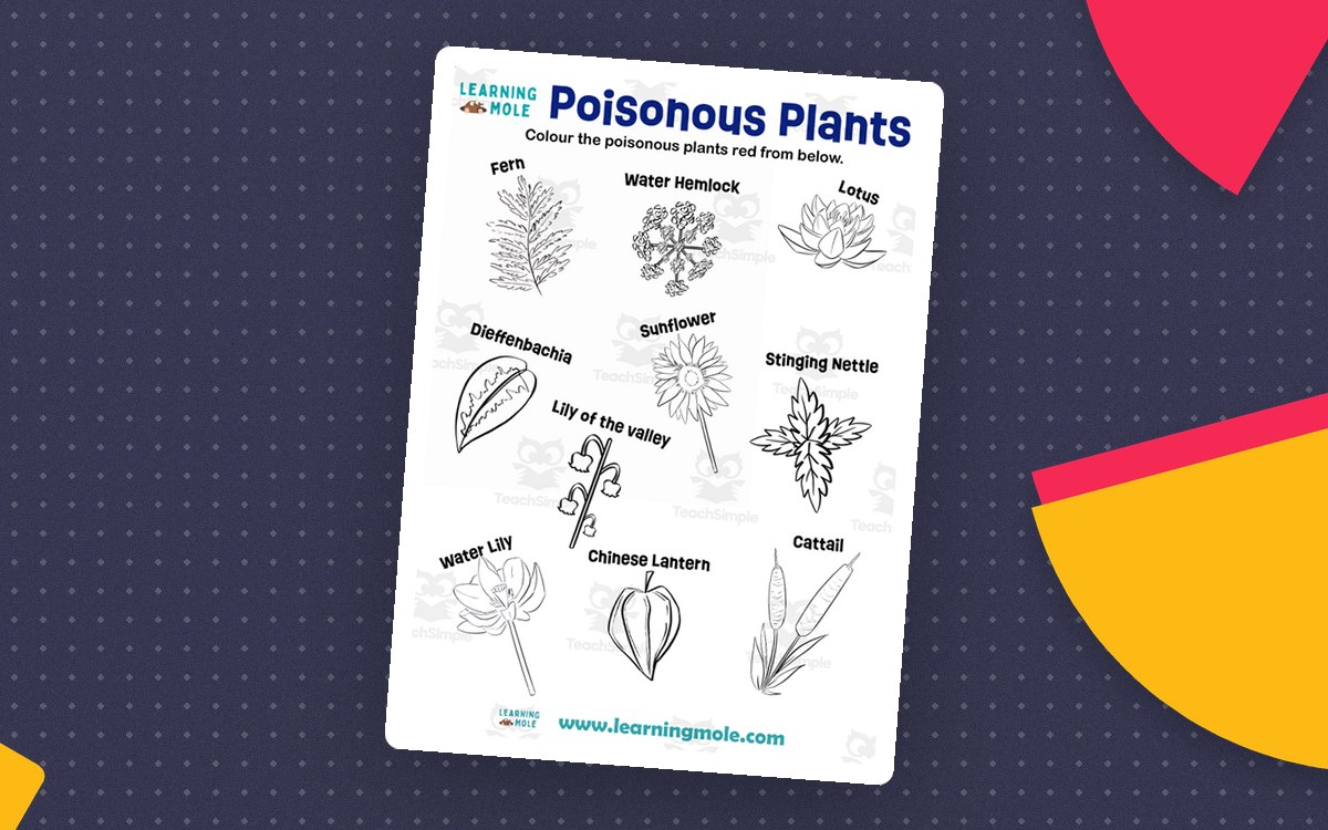 Poisonous Plants Activity preview