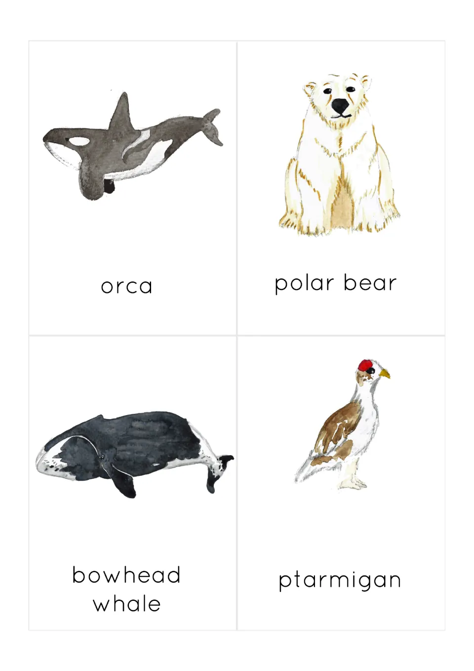 Animal name cards: watercolor orca, polar bear, bowhead whale and ptarmigan, each labeled for picture-word matching