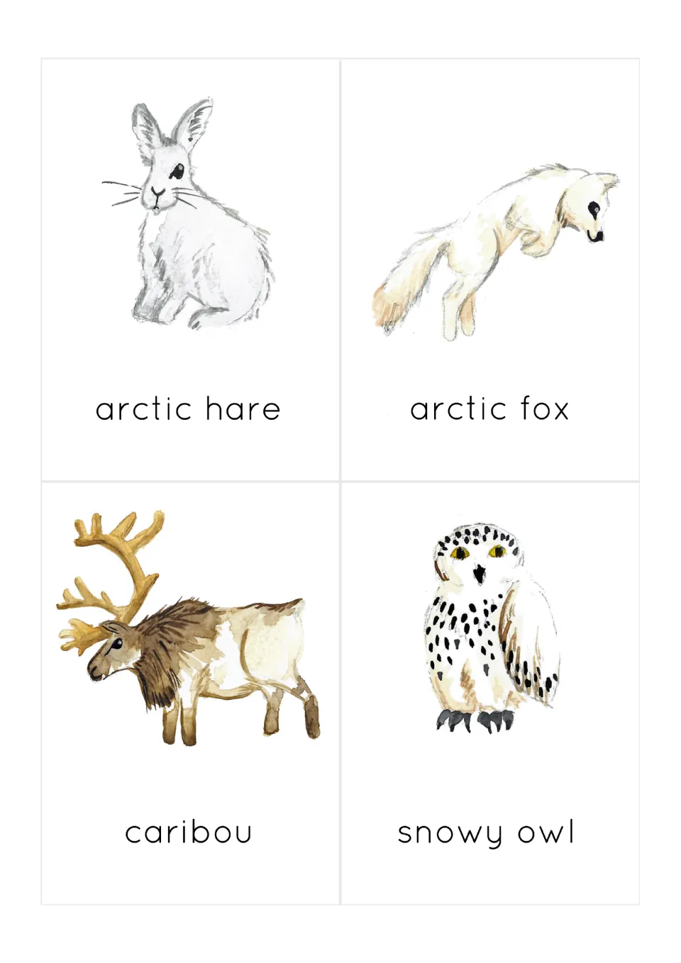 Arctic land animal cards: arctic hare, arctic fox, caribou and snowy owl, each painted and named for vocabulary review