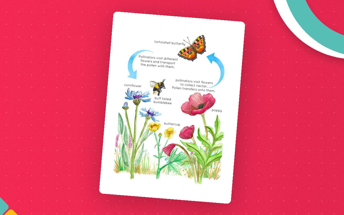 Pollinators Printable Poster preview