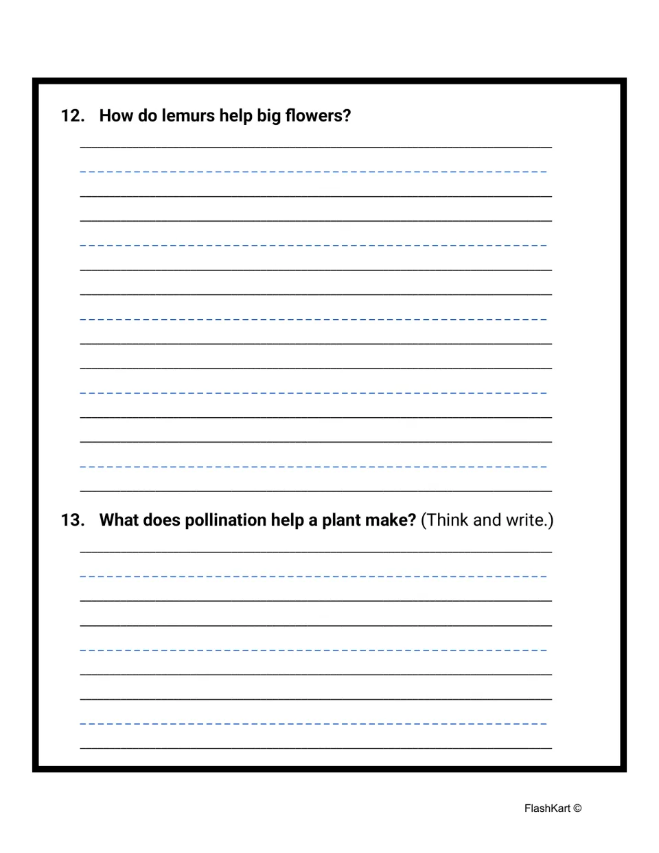 Pollinator questions 12-13: students explain how lemurs help big flowers and what pollination helps a plant make