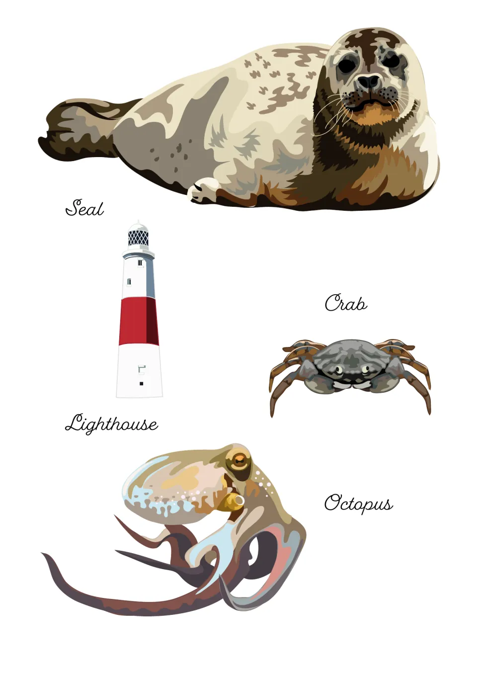 Labeled pictures of a seal, crab, lighthouse and octopus that students can use as ideas for their seaside lists