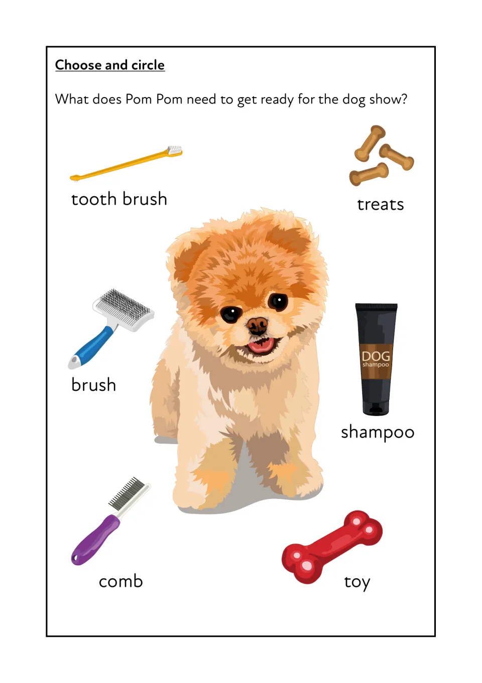 Getting Pom Pom ready for the dog show: students circle grooming items such as brush, comb, shampoo, toothbrush and treats