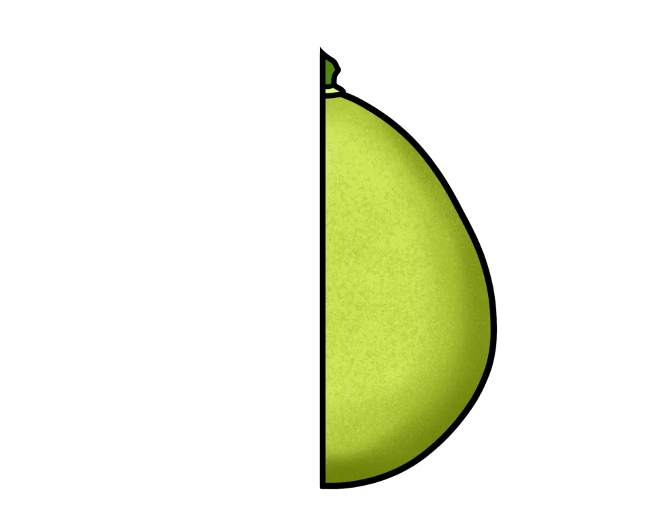 Cut-out piece: right half of a green pomelo with its stem, to pair with the matching left half in the craft