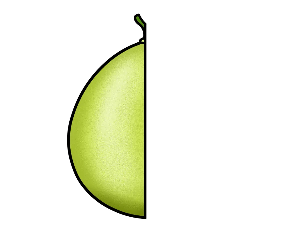 Cut-out piece: left half of a green pomelo illustration, the partner to the right-half fruit piece for the foldable