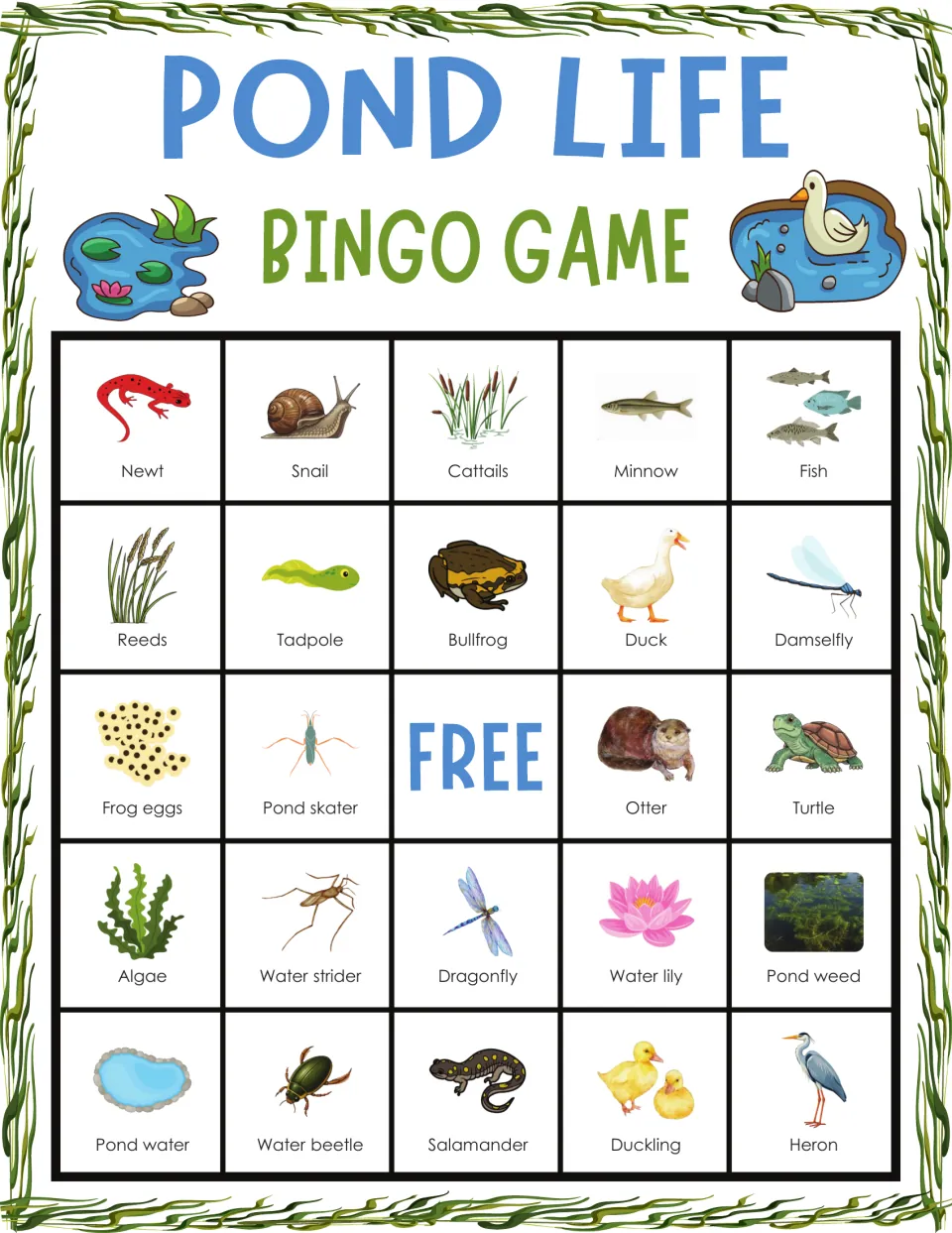 Pond Life Bingo card: students find and mark pond animals and plants, with newt, snail, cattails, minnow and fish on top