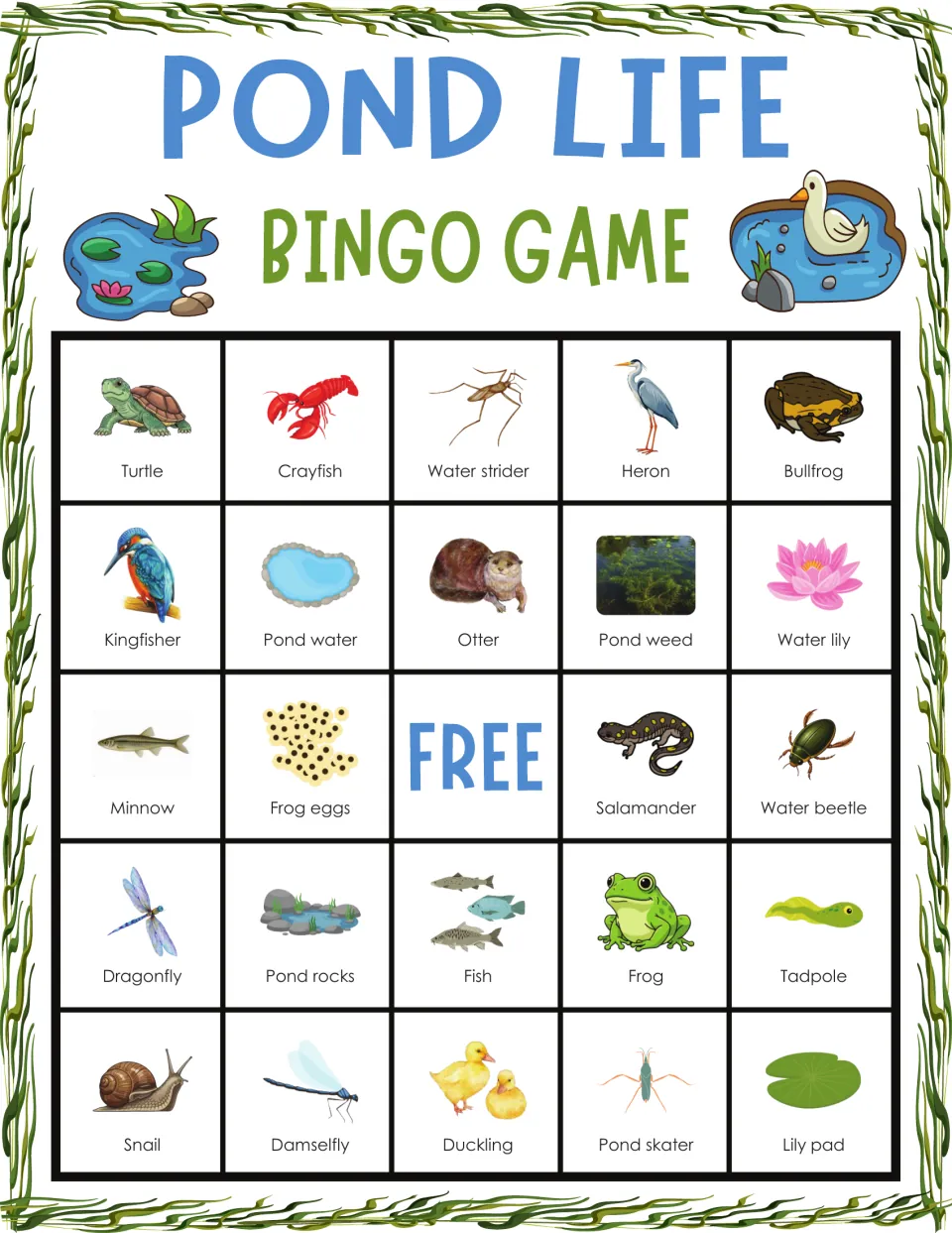 Pond life bingo card: children match called pond creatures to pictures, top row turtle, crayfish, water strider, heron