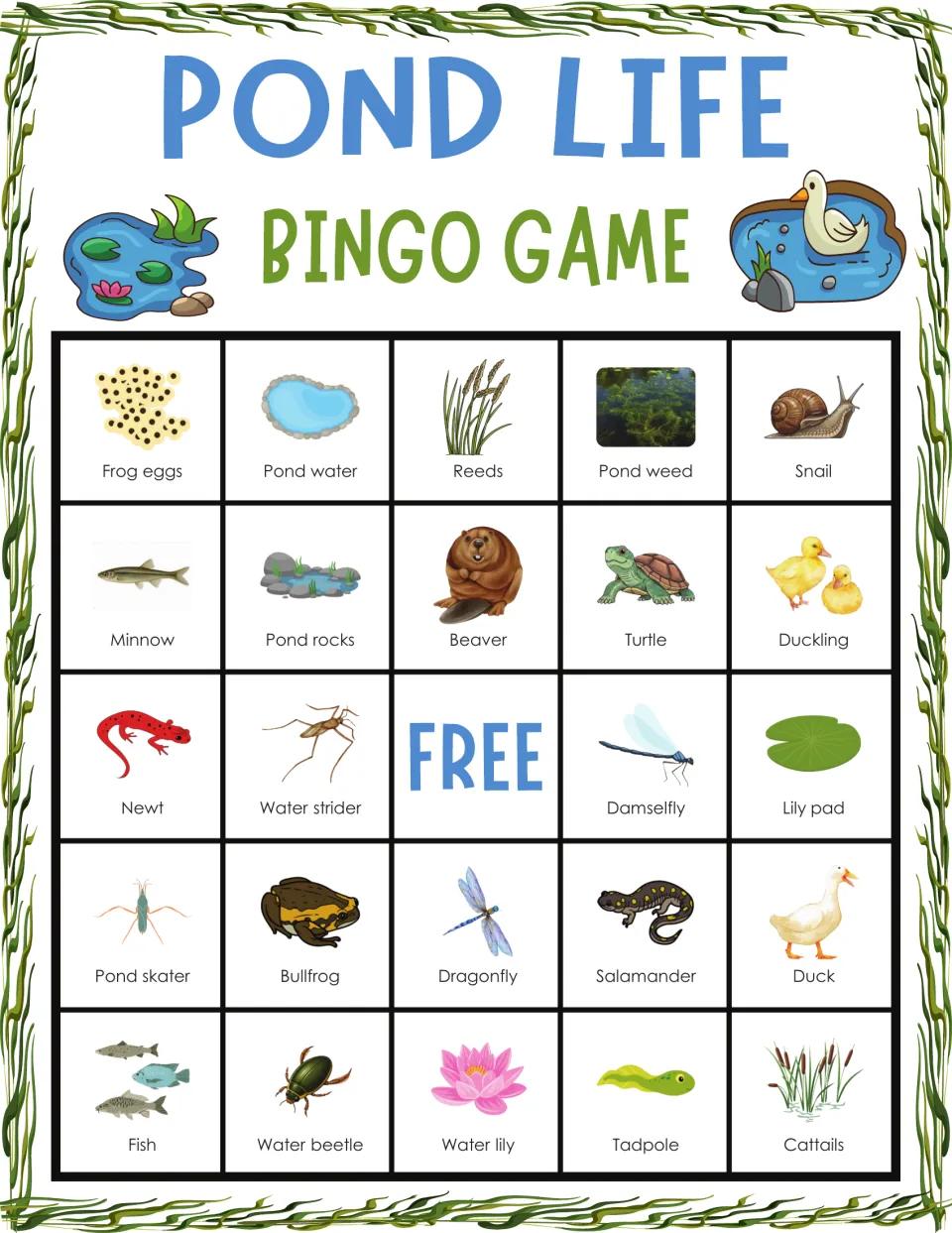 Pond life bingo card: labeled pictures to mark when called, top row frog eggs, pond water, reeds, pond weed, snail