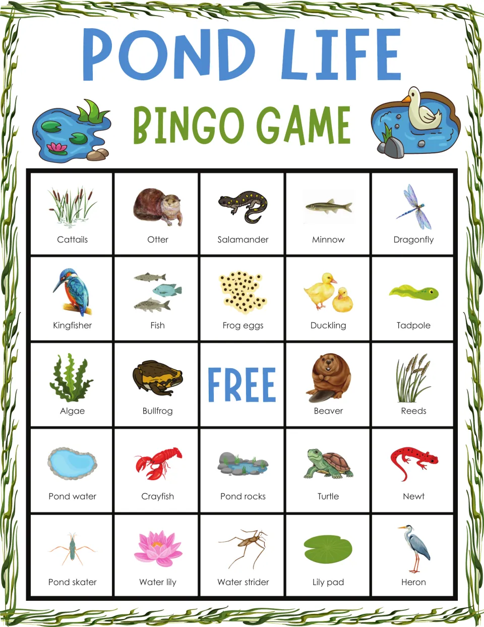 Pond life bingo card: students cover named wetland wildlife, top row cattails, otter, salamander, minnow, dragonfly
