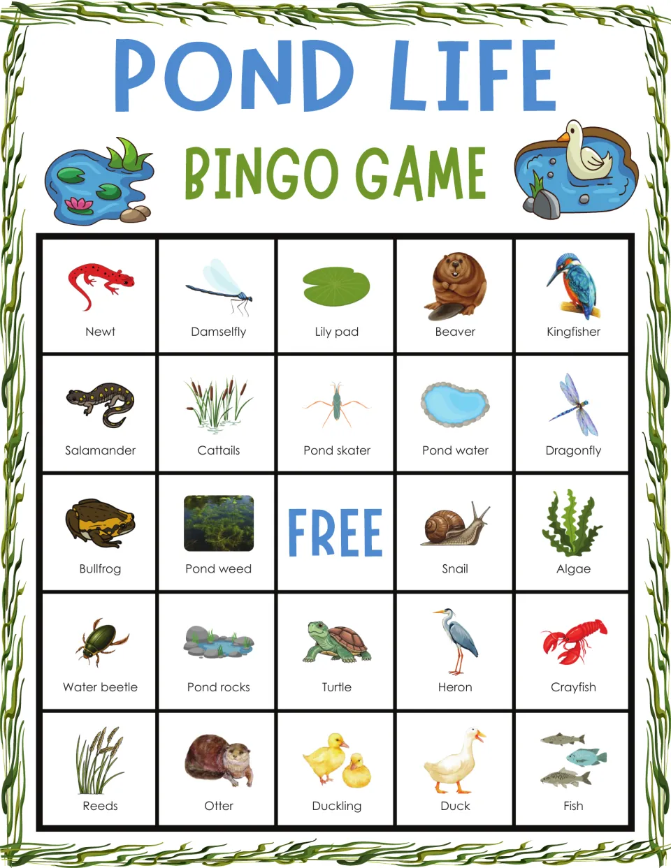 Pond life bingo card: players listen and cover plants and animals, top row newt, damselfly, lily pad, beaver, kingfisher