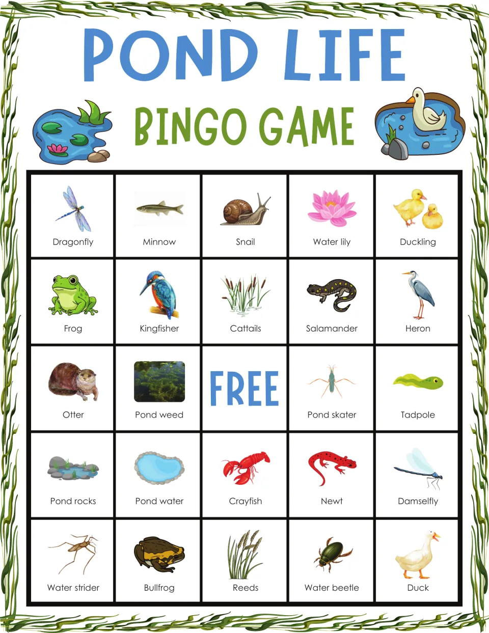 Pond life bingo card: students recognize pond creatures by picture, top row dragonfly, minnow, snail, water lily, duckling