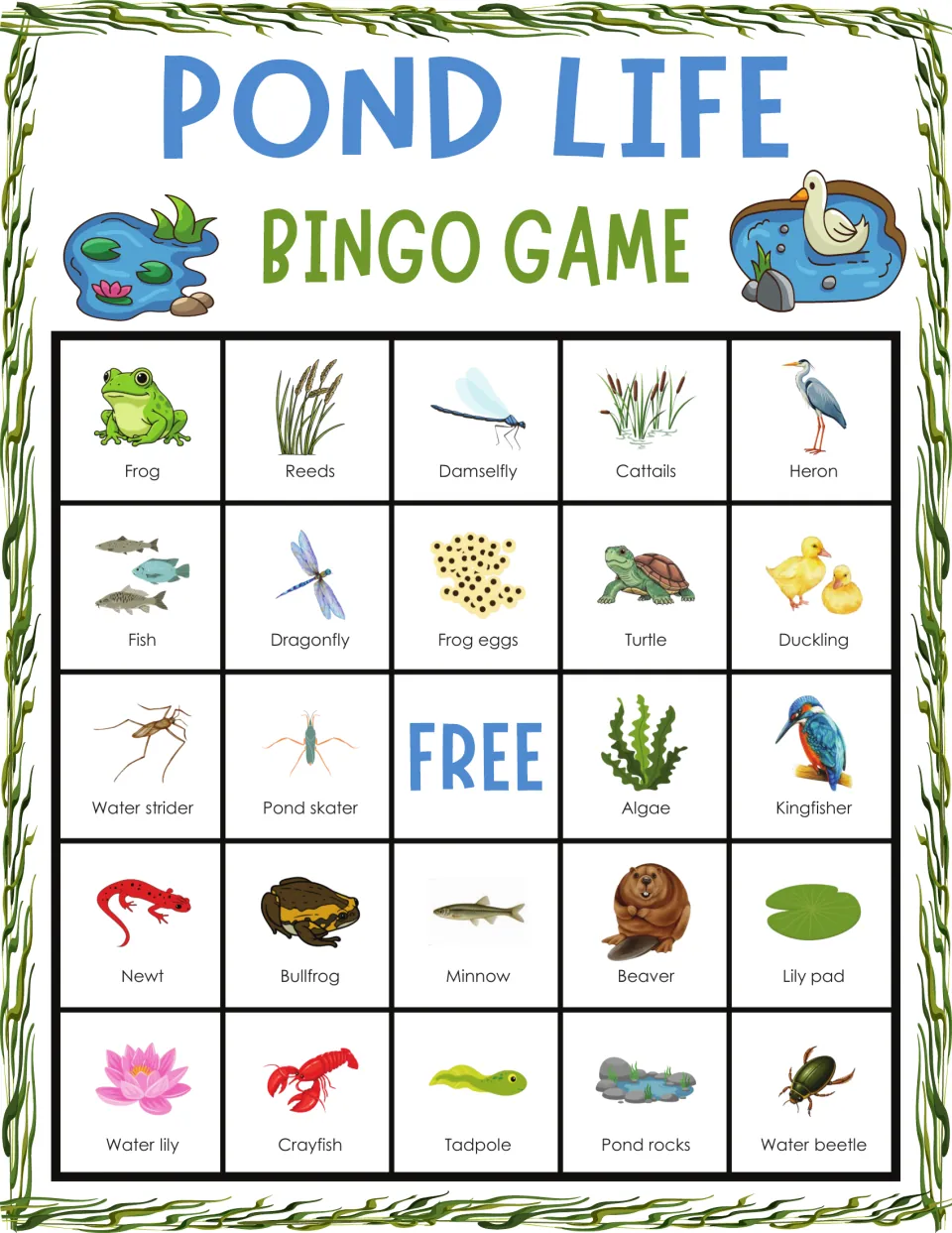 Pond life bingo card: students name each pond picture they mark, top row frog, reeds, damselfly, cattails, heron