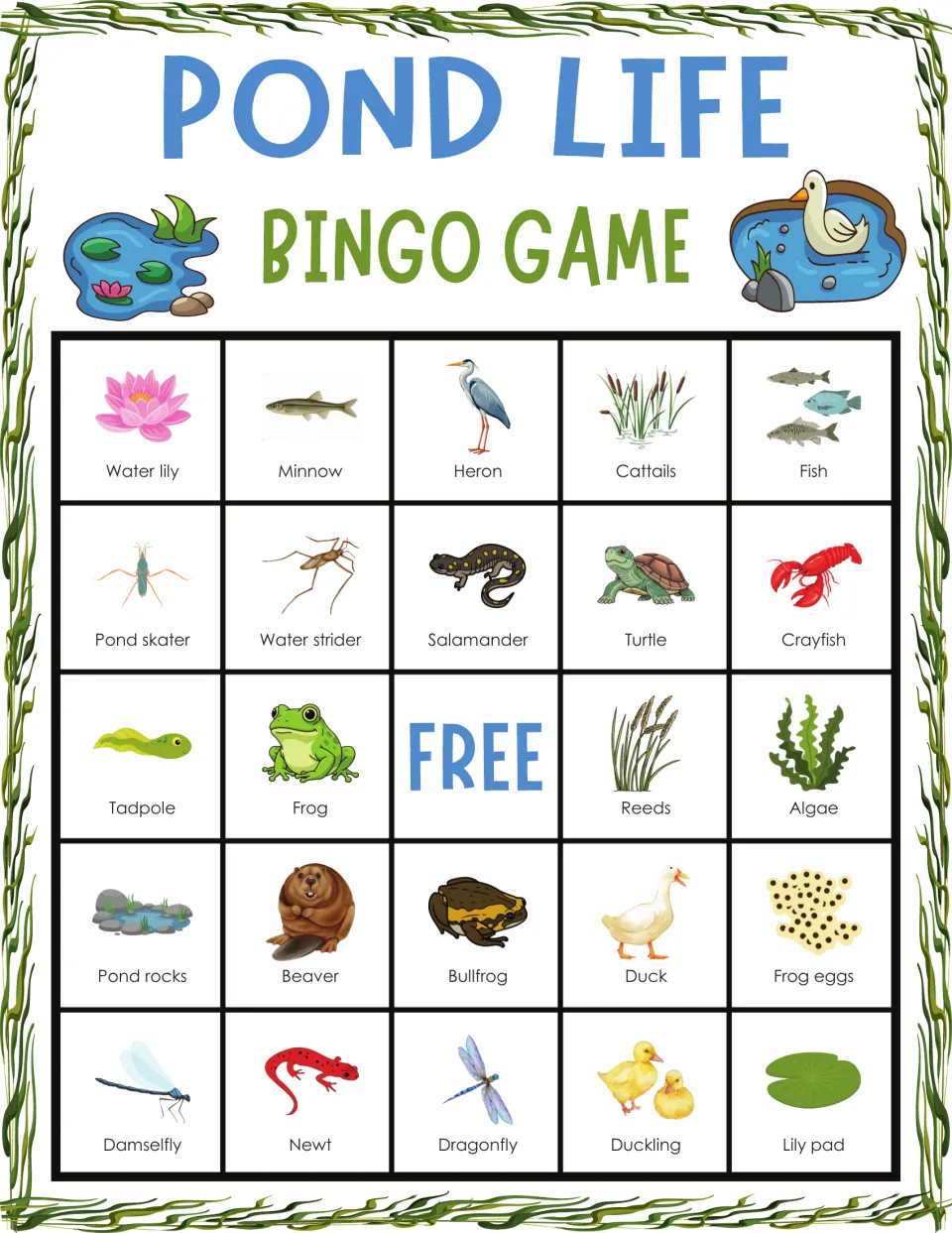 Pond life bingo card: students spot called pond words and pictures, top row water lily, minnow, heron, cattails, fish