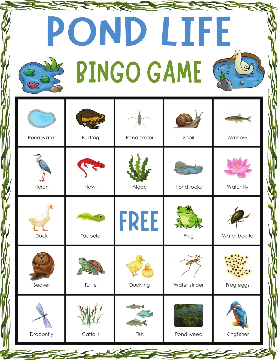 Pond life bingo card: students identify pond habitat life, top row pond water, bullfrog, pond skater, snail, minnow