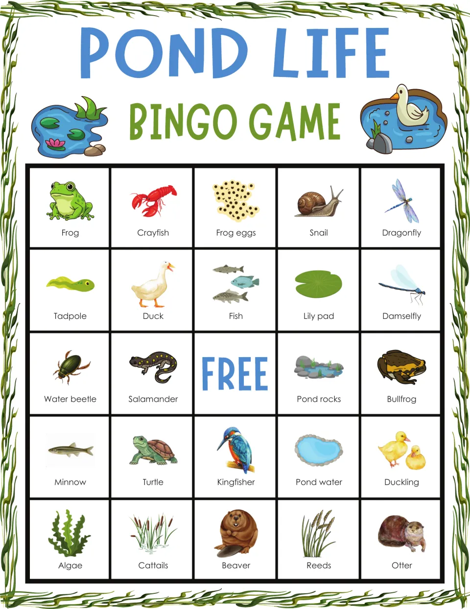 Pond life bingo card: mark animals and plants as they are named, top row frog, crayfish, frog eggs, snail, dragonfly