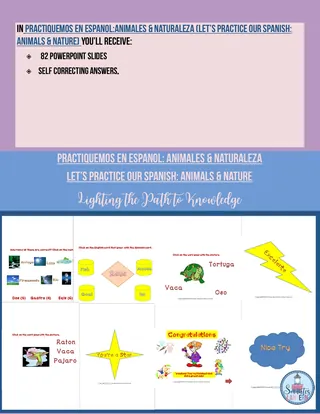 Spanish Animals and Nature Vocabulary Game – preview