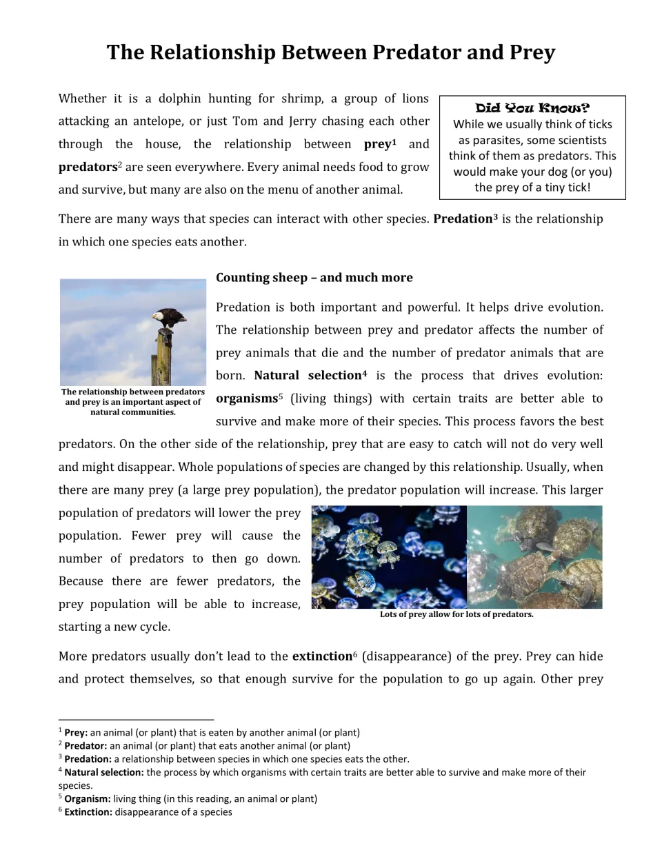 Predator and prey reading: defines prey, predators, predation and natural selection and explains population cycles