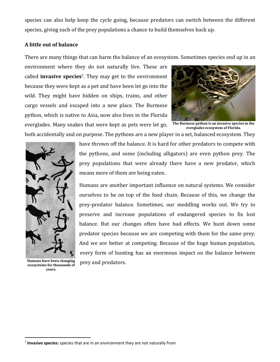 Invasive species reading on the Burmese python in the Florida everglades and how humans shift predator-prey balance