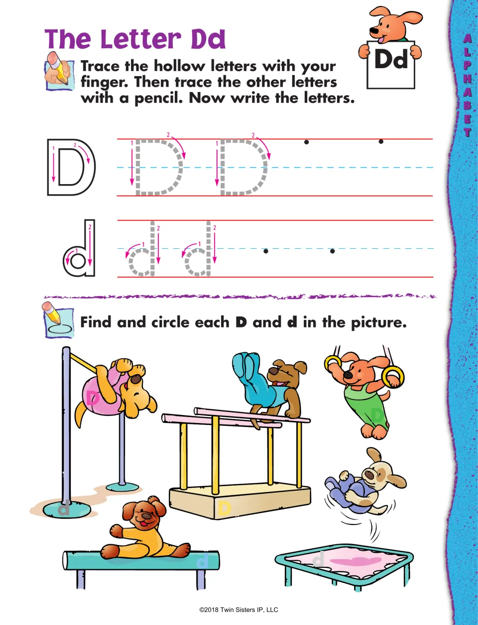 The Letter Dd: students trace and write D and d, then find and circle hidden D and d letters in a scene of gymnast dogs