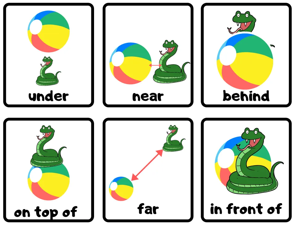 Prepositions under, near, behind, on top of, far, in front of: snake shown with a beach ball